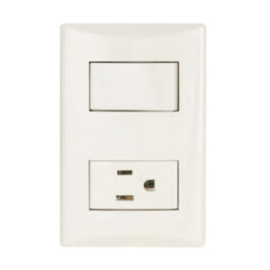 Interruptor con receptáculo blanco línea plata